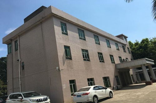 今日新聞 技術精湛，專業護航——聚焦十堰、襄陽、宜昌三地房屋建筑檢測與鑒定